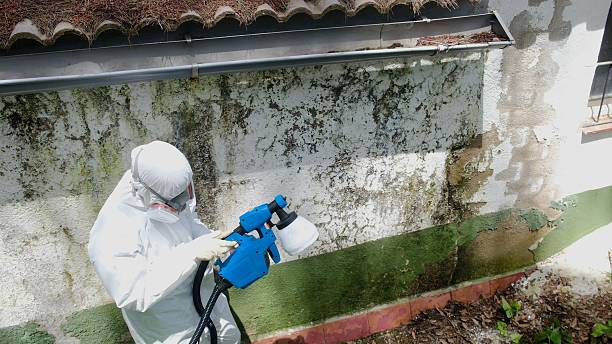 Trusted Mold Testing service in Mill Hall, PA - Cheap Mold Removal